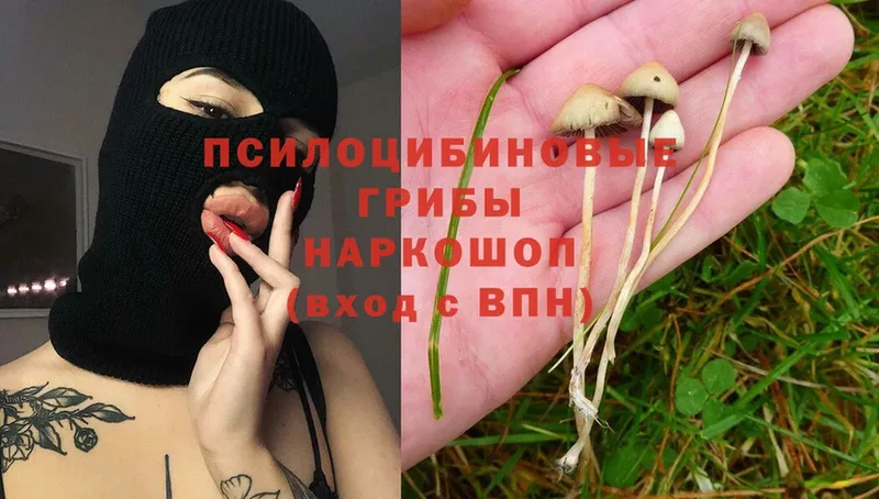 Галлюциногенные грибы Magic Shrooms  Нарткала 